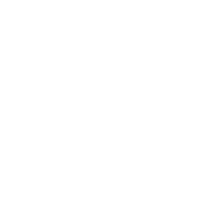 logotipo blaze (8)